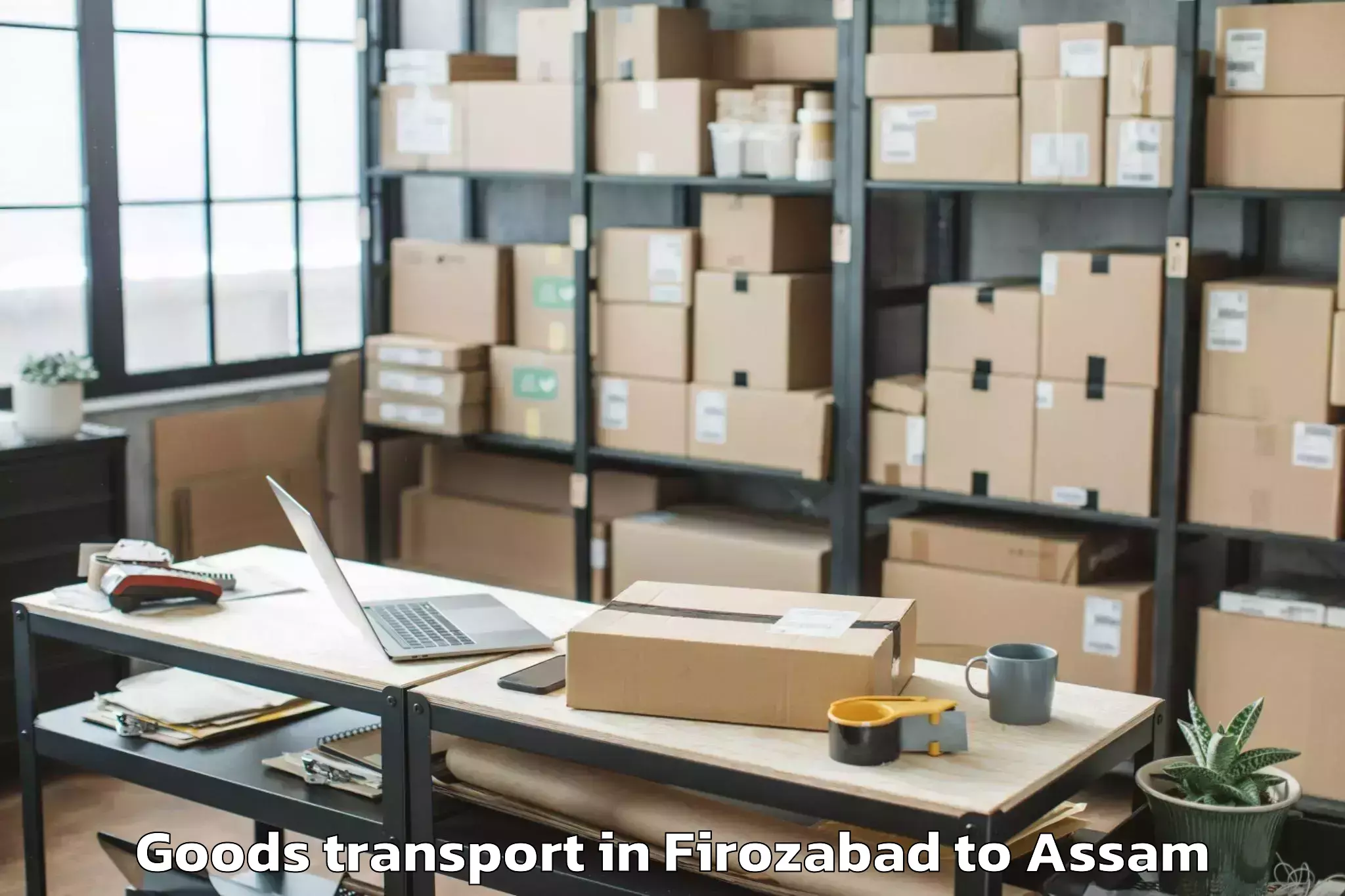 Professional Firozabad to Pachim Nalbari Goods Transport